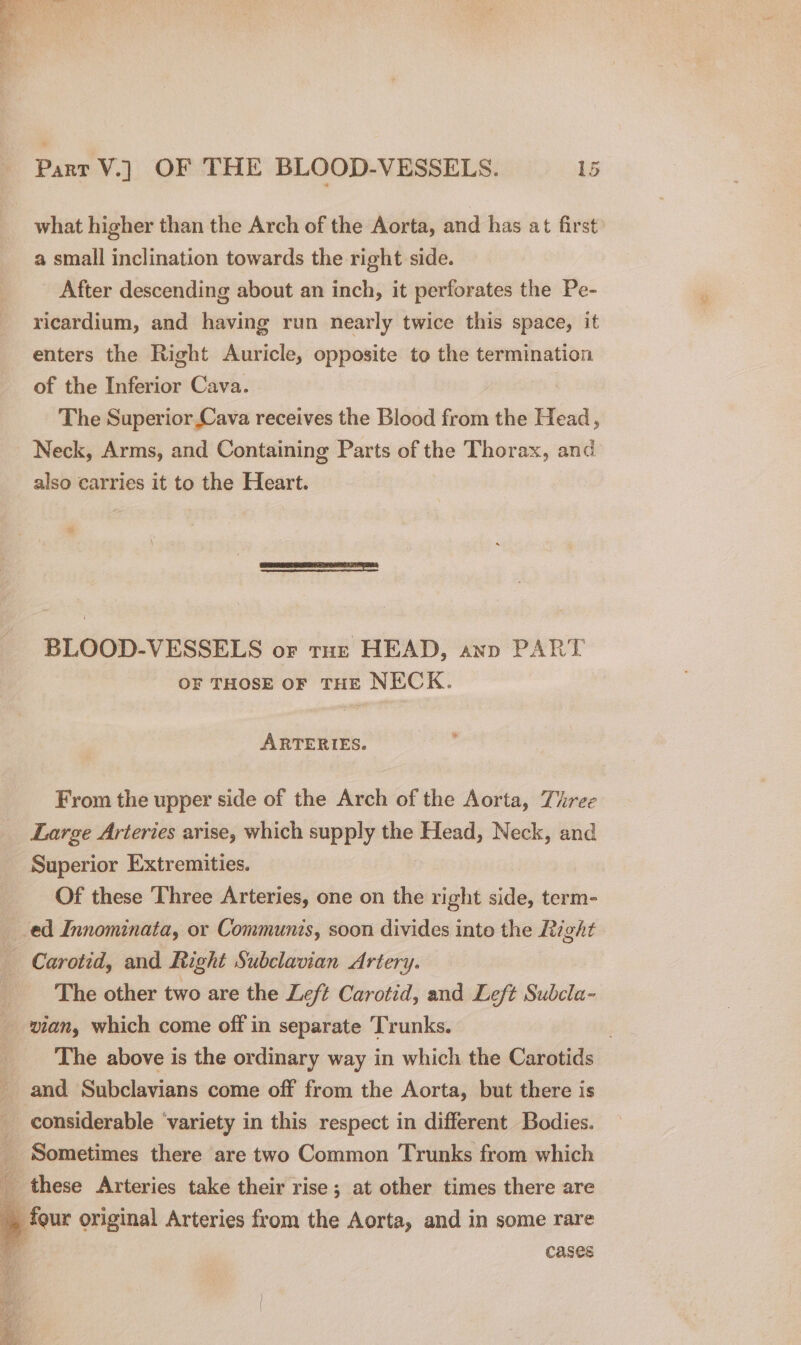 what higher than the Arch of the Aorta, and has at first a small inclination towards the right side. After descending about an inch, it perforates the Pe- ricardium, and having run nearly twice this space, it enters the Right Auricle, opposite to the termination of the Inferior Cava. The Superior Cava receives the Blood from the Head, Neck, Arms, and Containing Parts of the Thorax, and also carries it to the Heart. ° BLOOD-VESSELS or tus HEAD, ann PART OF THOSE OF THE NECK. ARTERIES. From the upper side of the Arch of the Aorta, Three Large Arteries arise, which supply the Head, Neck, and Superior Extremities. Of these Three Arteries, one on the right side, term- _ed Innominata, or Communis, soon divides into the Right Carotid, and Right Subclavian Artery. The other two are the Left Carotid, and Left Subcla- vian, which come off in separate Trunks. . The above is the ordinary way in which the Carotids and Subclavians come off from the Aorta, but there is _ considerable ‘variety in this respect in different Bodies. ; Sometimes there are two Common Trunks from which iE these Arteries take their rise; at other times there are __ four original Arteries from the Aorta, and in some rare cases