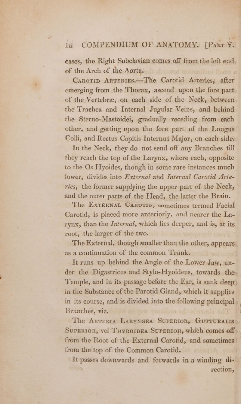 cases, the Right Subclavian comes off from the left end of the Arch of the Aorta. Carorip ARTERIES. ~The Carotid Arteries; after emerging from the Thorax, ascend’ upon the fore part of the Vertebree; on each side of the Neck, between the Trachea and Internal Jugular Veins, and behind the Sterno-Mastoidei, gradually receding from each other, and getting upon the fore part of the Longus Colli, and Rectus Capitis Internus Major, on each side: In the Neck, they do not send off any Branches till . they reach the top of the Larynx, where each, opposite to the Os Hyoides, though in some rare instances much lower, divides into External ahd Internal Carotid Arte- vies, the former supplying the upper part of the Neck, | and the outer parts of the Head, the latter the Brain. - The ExrernaL Cakori, sometimes termed Facial Carotid, is placed more anteriorly, and nearer the La- rynx, than the Internal, which lies deeper, and is, at its root, the larger of the two. The External, though smaller than the other, appears as a continuation of the common Trunk. ) It runs up behind the Angle of the Lower Jaw, un- der the Digastricus and Stylo-Hyoideus, towards the ’ Temple, and in its passage before the Ear, is sunk deep) in the Substance of the Parotid Gland, which it supplies in its course, and is divided into the following auih.e: &gt; Branches, viz. The ARTERIA LARYNGEA. SUPERIOR, Chuierinieartien SUPERIOR, vel THyRoIDEA SUPERIOR, which comes off) . from the Root of the External Carotid, and sometimes from the top of the Common Carotid. | it passes downwards and forwards in a winding di- — | rection,