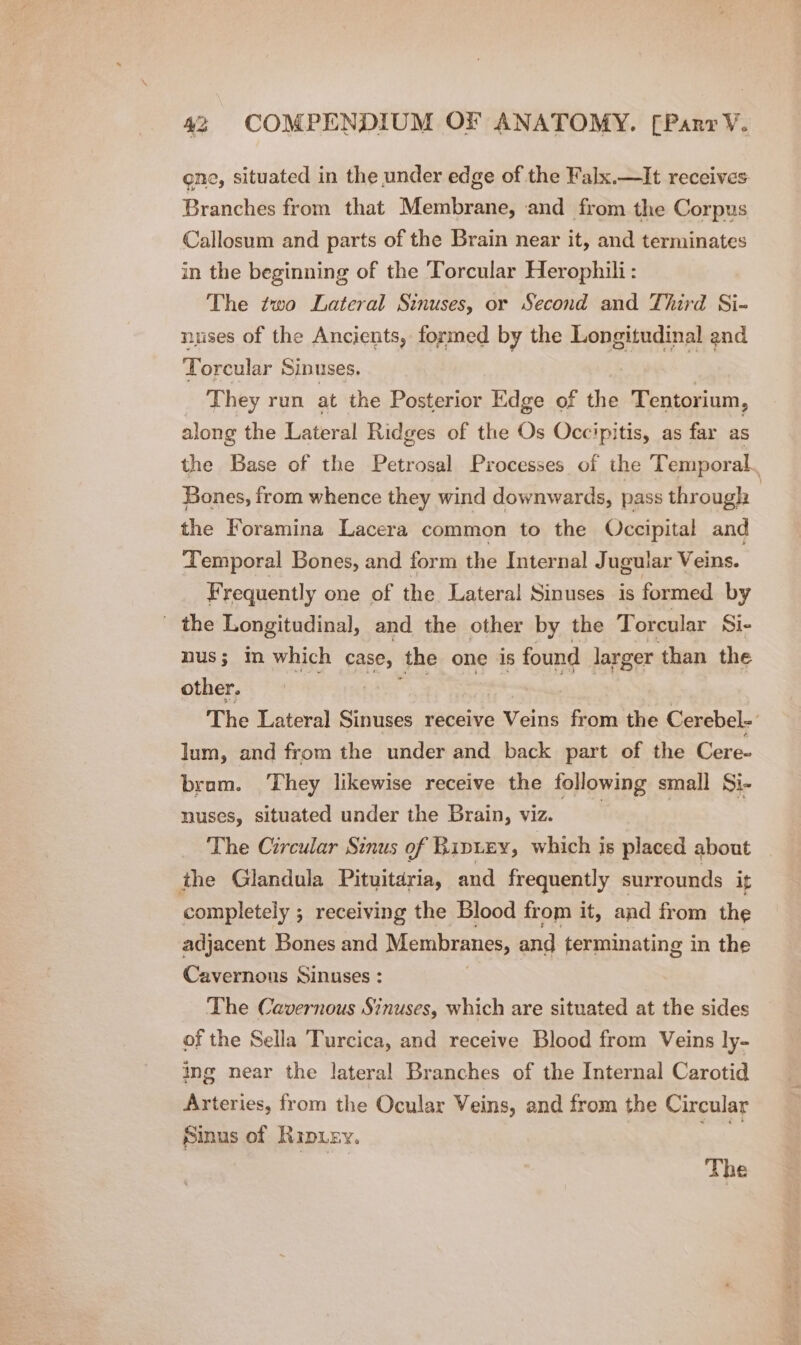 one, situated in the under edge of the Falx.—It receives Branches from that Membrane, ‘and from the Corpus Callosum and parts of the Brain near it, and terminates in the beginning of the Torcular Herophili: The two Lateral Sinuses, or Second and Third Si- nuses of the Ancients, formed by the Longitudinal and Torcular Sinuses. They run at the Posterior Edge of the Tentorium, along the Lateral Ridges of the Os Occipitis, as far as the Base of the Petrosal Processes of the Temporal. Bones, from whence they wind downwards, pass through | the Foramina Lacera common to the Occipital and Temporal Bones, and form the Internal Jugular Veins. Frequently one of the Lateral Sinuses is formed by _ the Longitudinal, and the other by the Torcular Si- nus; in which case, the one is found larger than the other. The Lateral Sinuses receive Veins from the Cerebel- lum, and from the under and back part of the Cere- bram. They likewise receive the following small Si- nuses, situated under the Brain, viz. Jesh The Circular Sinus of Bipueyx, which is placed about the Glandula Pituitdria, and frequently surrounds it completely ; receiving the Blood from it, and from the adjacent Bones and Membranes, and terminating in the Cavernous Sinuses : The Cavernous Sinuses, which are situated at the sides of the Sella Turcica, and receive Blood from Veins ly- ing near the lateral Branches of the Internal Carotid Arteries, from the Ocular Veins, and from the Circular Sinus of Ripuey. Sted The