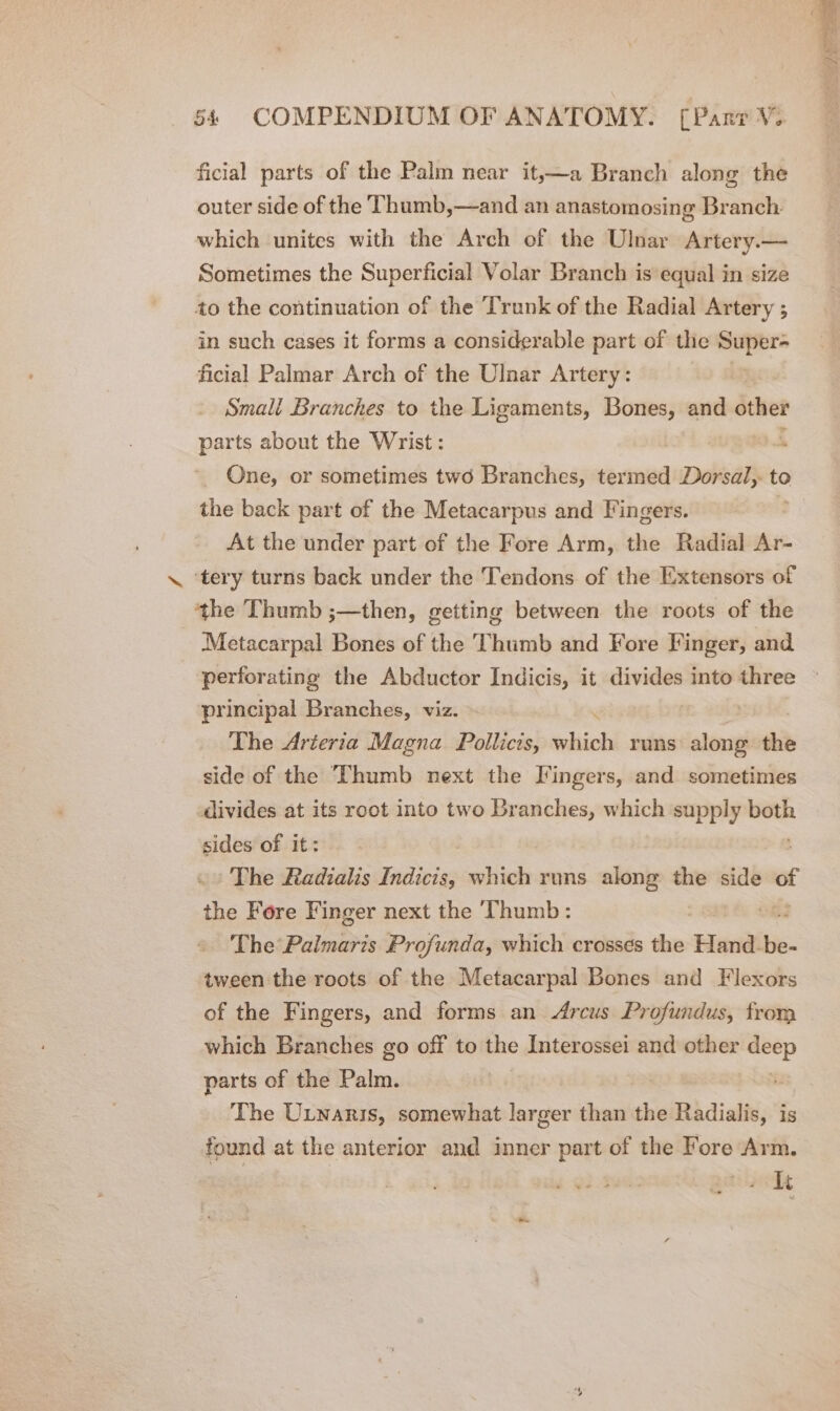 ~“ ficial parts of the Palm near it,—a Branch along the outer side of the Thumb,—and an anastomosing Branch which unites with the Arch of the Ulnar Artery.— Sometimes the Superficial Volar Branch is equal in size to the continuation of the Trunk of the Radial Artery ; in such cases it forms a considerable part of the Super- ficial Palmar Arch of the Ulnar Artery: Small Branches to the Ligaments, Bones, and other parts about the Wrist: | One, or sometimes two Branches, termed Dorsal, to the back part of the Metacarpus and Fingers. At the under part of the Fore Arm, the Radial Ar- ‘tery turns back under the Tendons of the Extensors of Metacarpal Bones of the Thumb and Fore Finger, and perforating the Abductor Indicis, it divides into three principal Branches, viz. The Arteria Magna Pollicis, canis runs along: the side of the ‘Thumb next the Fingers, and sometimes divides at its root into two Branches, which supply both sides of it: The Radialis Indicis; which runs along the side “ the Fore Finger next the Thumb: The Palmaris Profunda, which crosses the Hand. be: tween the roots of the Metacarpal Bones and Flexors of the Fingers, and forms an Arcus Profundus, from which Branches go off to the Interossei and other ii parts of the Palm. . The Utnaris, somewhat larger than the Radialis, is found at the anterior and inner part of the Fore Arm. elt