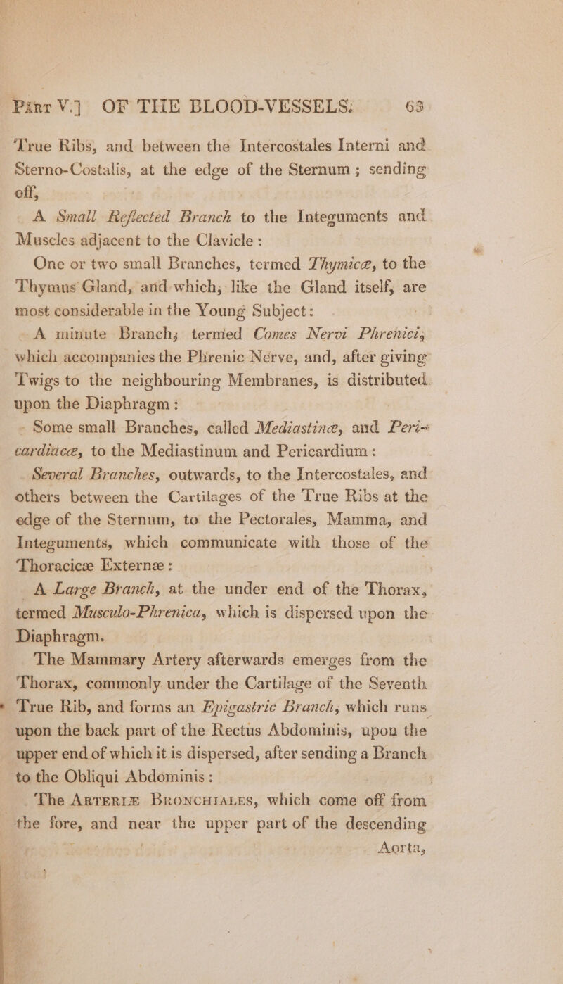 True Ribs, and between the Intercostales Interni and Sterno-Costalis, at the edge of the Sternum ; sending off, | A Small Reflected Branch to the Integuments and. Muscles adjacent to the Clavicle : One or two small Branches, termed Thymica, to the Thymus Gland, and which, like the Gland itself, are most considerable in the Young Subject: | -A minute Branch; termed Comes Nervi Phrenic which accompanies the Phrenic Nerve, and, after giving Twigs to the neighbouring Membranes, is distributed. upon the Diaphragm : - Some small Branches, called Medzastine, and Peri- cardiiice, to the Mediastinum and Pericardium : Several Branches, outwards, to the Intercostales, and others between the Cartilages of the True Ribs at the edge of the Sternum, to the Pectorales, Mamma, and Integuments, which communicate with those of the Thoracic Externe : _A Large Branch, at the under end of the Thorax, termed Musculo-Phrenica, which is dispersed upon the Diaphragm. . The Mammary Artery afterwards emerges from the Thorax, commonly under the Cartilage of the Seventh True Rib, and forms an Epigastric Branch; which runs upon the back part of the Rectus Abdominis, upon the to the Obliqui Abdominis : The Arrer:r® Broncuiates, which come off from Aorta,