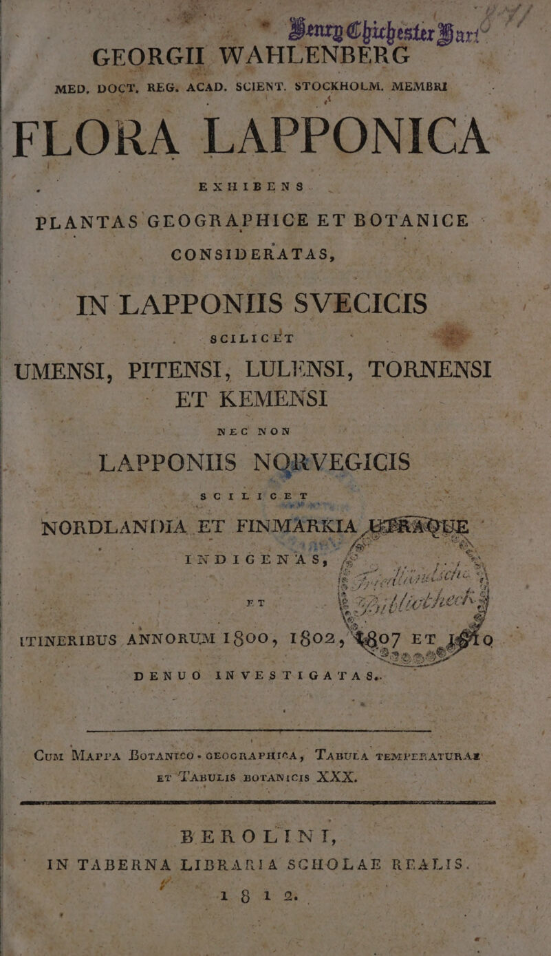 ud * Berge gae GEORGII. WAHLENBERG MED, p: 5 REG. n SCIENT. STOCKHOLM. CMEMBRI FLORA LAPPON ICA- à EXHIBENS. PLANTAS GEOGRAPHICE ET BOTANICE CONSIDERATAS, jc E IN LAPPONIIS SVECICIS 8CILI c ET pr E 'UMENSI, PITENSI, LULVNSI, TORNENSI x BE KEMENSI NEC NON . . LAPPONIIS NQRVEGIGIS cd SCILICET .* M ut NORDLANDIA. ET FINMÁRKIA AMPREQUE P /8 INDIGENAS, P 273). We. [i uh, fam oe rump ci r PE, ; ori evy £o tt MI £ mu UE YT e wo upLhevs | X ML DUE * i $ 7 AR » ATINERIBUS ANNORUM 1800, 1802, 8o 9 fef DENUO INVESTIGATAS, Cux Marr A BOoTANIS0- OEOGR A PHIGÁ; TABULA TEMPLIEATURAE ET l'ABULIS BOTANICIS XXX. i FEROLILNI, IN TABERNA LIDBRAR!A SCHOLAE REXLIS. £**. X T8 (m