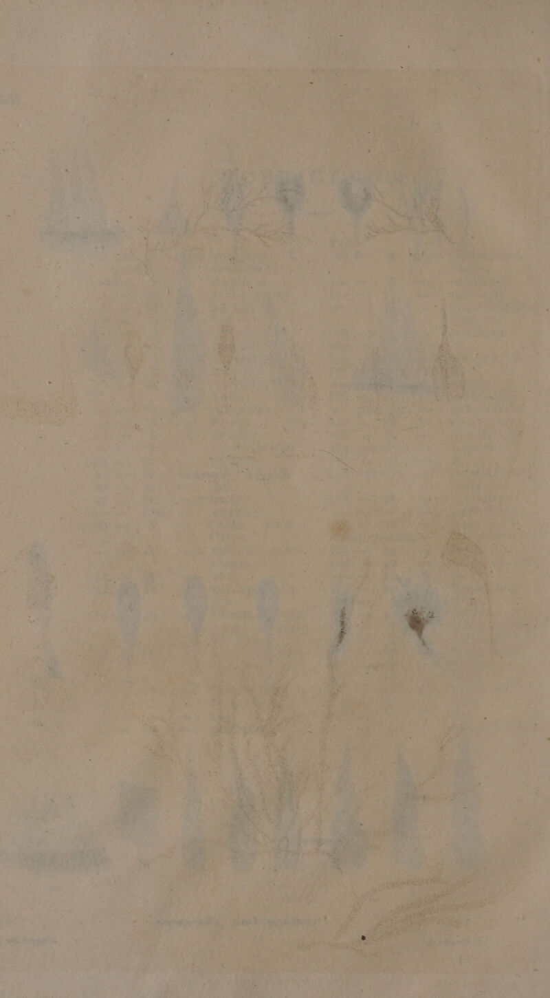 e - 8 * d Md M E - u YETS COUR ; v à e ym Mut F. í ; 4 US  TC i mor n : uota Pw |  P, C $us ' »» V8 , UP TP Tu A I 2» AT d e Nn * à . SL i [I ; ME a] r 2 : dc q^