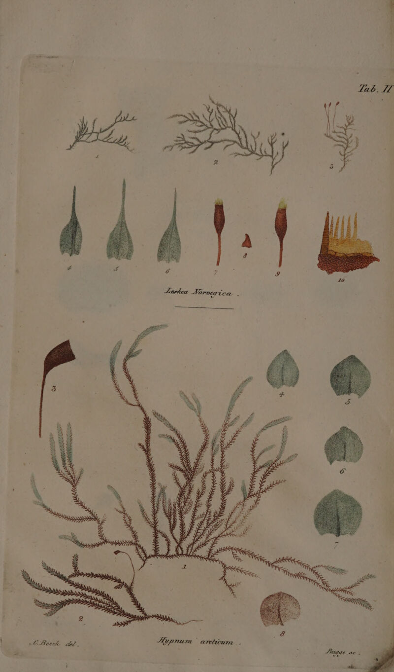 —————À [24 -Leren JToroegtca.