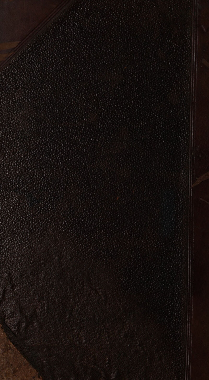 MA. We e — st *» »* .«-- '. s