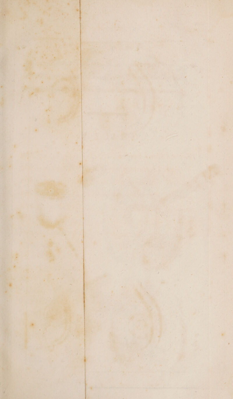 een ee ee ee ite 1 - a a oo $ &amp; - 4 aa | ‘ ’ 5 y/ % , e ri ae ia. 8 © aT f } Lala cy i . r “a ‘ee Pie) . ria “iy 4 fee 1 wi, 3 = , ‘ye na é 1 : ‘ \ sages he i d a ; 3 5 ; 5 ‘ . by, f Fi x ‘ : 4 az a a ' i t , / ¢ \ is ‘ { t A 7 - 1 “ ‘ fac x by ‘ ee, 4 ’ , 7 s a.) ' &amp; : ‘ ea. ¥ ee ot ‘ ta , ¥ in y y [ F : ‘ ’ 7 - fl . y « Ay : 4 n “ d 7 ‘ ity 1 A n = 7 a a te t i : ' é oe “ i] % “| 4 5 i