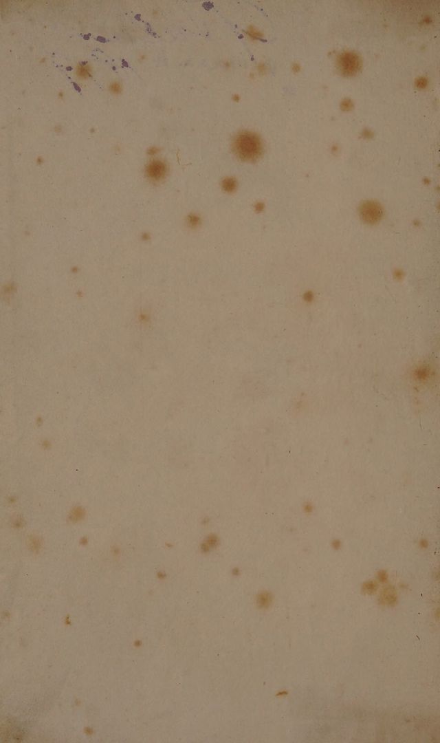 digitised image 2