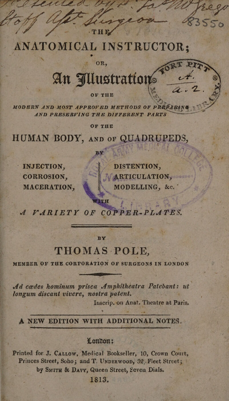 toe AND PRESERVING THE DIFFERENT PARTS OF THE - HOMAN BODY, anp OF sly, INJECTION, - DISTENTION, CORROSION, | }/ ARTICULATION, MACERATION, \. MODELLING, &amp;c. ’ aes, f+ oe. es 4 VARIETY OF COPPER-PLATES. BY THOMAS. POLE, MEMBER OF THE CORFORATION OF SURGEONS IN LONDON % Ad cedes hominum prisca Amphitheatra Patebant: ut longum decent vivere, nostra patent, : . Iuscrip..on Anat. Theatre at Paris, y _ “7 A NEW EDITION WITH ADDITIONAL NOTES. RO SD = London: : Printed for J. Carrow, Medical Bookseller, 10, Crown Court, Princes Street, Soho; and T. Unperwoop, 32.Fleet Street; by Smirx &amp; Davy, Queen Street, Seven Dials. eS . : 1813.