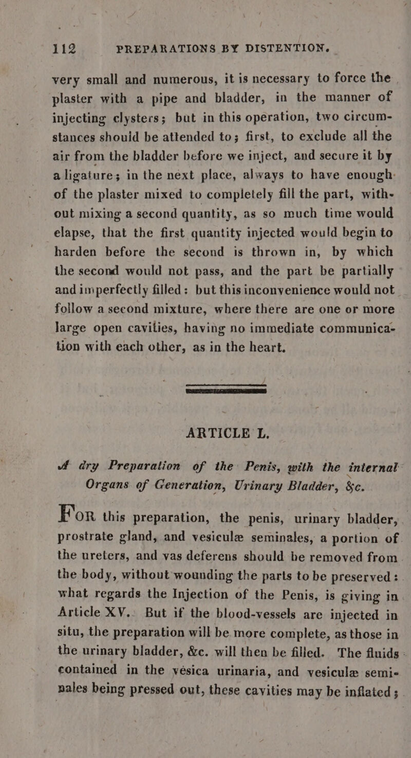 very small and numerous, it is necessary to force the plaster with a pipe and bladder, in the manner of injecting clysters; but in this operation, two circum- stances should be attended to; first, to exclude all the air from the bladder before we inject, and secure it by a ligature; in the next place, always to have enough: of the plaster mixed to completely fill the part, with- out mixing a second quantity, as so much time would elapse, that the first quantity injected would begin to harden before the second is thrown in, by which the second would not pass, and the part be partially and imperfectly filled: but this inconvenience would not follow a second mixture, where there are one or more large open cavities, having no immediate communica- tion with each other, as in the heart. ARTICLE L. dry Preparation of the Penis, with the internal Organs of Generation, Urinary Bladder, &amp;c. For this preparation, the penis, urinary bladder, prostrate gland, and vesicule seminales, a portion of. the ureters, and vas deferens should be removed from. the body, without wounding the parts to be preserved : what regards the Injection of the Penis, is giving in Article XV.. But if the blood-vessels are injected in situ, the preparation will be more complete, as those in the urinary bladder, &amp;c. will then be filled. The fluids: contained in the vésica urinaria, and vesicule semi- nales being pressed out, these cavities may be inflated ;