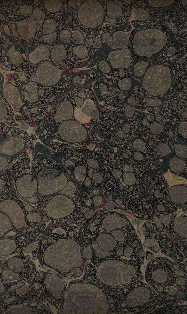 digitised image 2