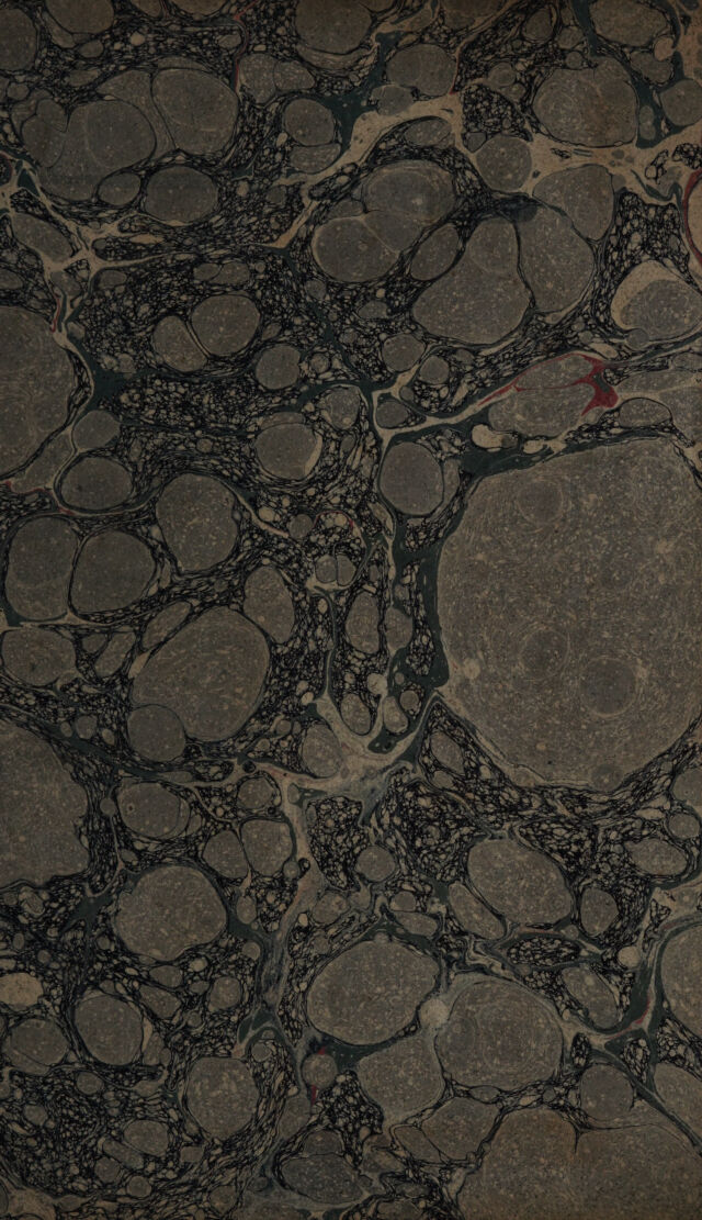 digitised image 3