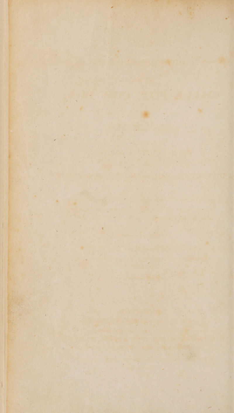 Se