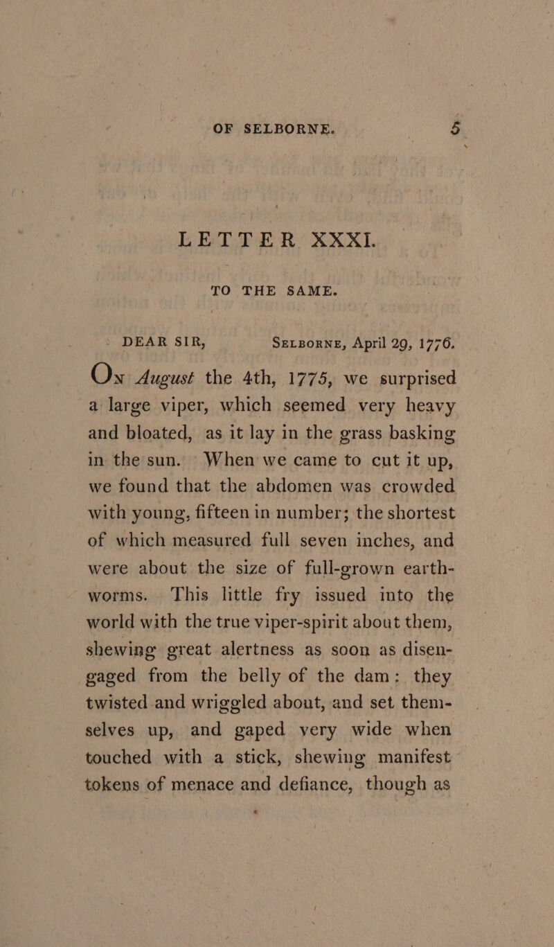 LETTER XXXII. TO THE SAME. DEAR SIR, SELBORNE, April 29, 1776. Ox August the 4th, 1775, we surprised a large viper, which seemed very heavy and bloated, as it lay in the grass basking in the sun. When we came to cut it up, we found that the abdomen was crowded with young, fifteen in number; the shortest of which measured full seven inches, and were about the size of full-grown earth- worms. This little fry issued into the world with the true viper-spirit about them, shewing great alertness as soon as disen- gaged from the belly of the dam: they twisted and wriggled about, and set them- selves up, and gaped very wide when touched with a stick, shewing manifest - tokens of menace and defiance, though as