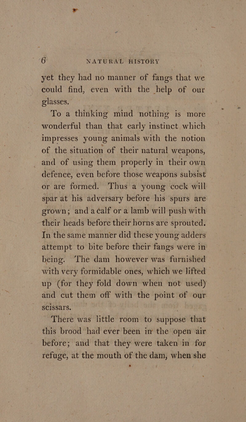 yet they had no manner of fangs that we could find, even with the help of our glasses. To a thinking mind nothing is more wonderful than that early instinct which impresses young animals with the notion of the situation of their natural weapons, and of using them properly in their own defence, even before those weapons subsist or are formed. Thus a young cock will spar at his adversary before his ‘spurs are grown; and acalf or a lamb will push with their heads before their horns are sprouted. In the same manner did these young adders attempt to bite before their fangs were in being. The dam however was furnished with very formidable ones, which we lifted | up (for they fold down when not used) and cut them off with the point of our scissars. 7 There was little room to suppose that this brood ‘had ever been im the open air before; and that they were taken in for refuge, at the mouth of the dam, when she