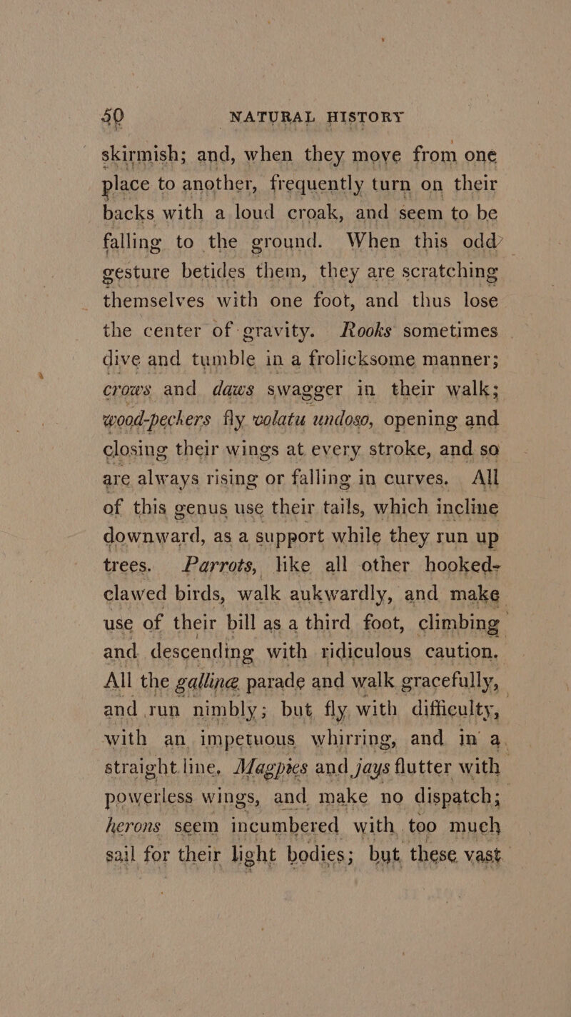 skirmish; and, when they move from one place to another, frequently turn on their backs with a loud croak, and seem to be falling to the ground. When this odd’ gesture betides them, they are scratching themselves with one foot, and thus lose the center of gravity. Rooks sometimes dive and tumble in a frolicksome manner; crows and daws swagger in their walk; wood- “pechers fly wolatu undoso, opening and closing their wings at every stroke, and so are always rising or falling in curves. All of this genus use their tails, which incline downward, as a support while they run up trees. Parrots, like all other hooked- clawed birds, walk aukwardly, and make use of their pill as a third foot, climbing and descending with ridiculous caution. | All the galling parade and walk gracefully, - and run nimbly ; but, fly with difficulty, with an impetuous whirring, and in’ a. straight line, Magpres and jays Dotter with : powerless wings, and make no dispatch ; . herons seem incumbered with too much sail for their light bodies; but. these vast.