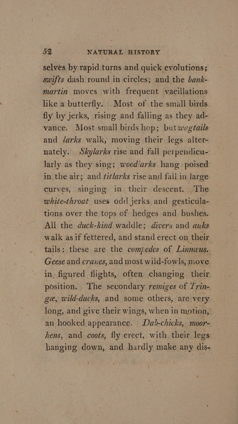 selves by rapid turns and quick evolutions; swifts dash round in circles; and the bank- martin moves with frequent vacillations like a butterfly. Most of the small birds fly by jerks, rising and falling as they ad- . vance. Most small birds hop; but wagtails and éarks walk, moving their legs alter- nately. Shylarks rise and fall perpendicu- larly as they sing; wood/arks hang poised in the air; and fitlarks rise and fall in large curves, singing in their descent. The white-throat uses odd jerks and gesticula- tions over the tops of- hedges and_ bushes. All the duck-kind waddle; divers and auks walk as if fettered, and stand erect on their tails: these are the compedes of Linneus. Geese and cranes, and most wild-fowls, move in, figured flights, often changing their position. The secondary remiges of Trin- ge, wild-ducks, and some others, are very long, and give their wings, when in mption, an hooked appearance. Dab-chicks, moor- hens, and coots, fly erect, with their legs hanging down, and hardly make any dis-