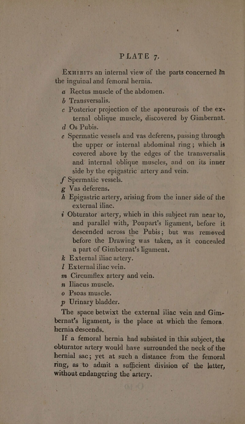 Exuisits an internal view of the parts concerned in the inguinal and femoral hernia. , a Rectus muscle of the abdomen. 6 Transgversalis. | . c Posterior projection of the aponeurosis of the ex~ ternal oblique muscle, discovered by Gimbernat. d Qs Pubis. e Spermatic vessels and vas deferens, passing through the upper or internal abdominal ring; which is covered above by the edges of the transversalis and: internal oblique muscles, and on its inner side by the epigastric artery and vein. Ff Spermatic vessels. g Vas deferens, h Epigastric artery, arising from the inner side of the external iliac. ¢ Obturator artery, which in this subject ran near to, and parallel with, Poupart’s ligament, before it descended across the Pubis; but was remeved before the Drawing was taken, as it concealed a part of Gimbernat’s ligament. k External iliac artery. 2 External iliac vein. m Circumflex artery and vein. n Iliacus muscle. o Psoas muscle. p Urinary bladder. The space betwixt the external iliac vein and Gim- bernat’s ligament, is the place at which the femora. hernia descends, If a femoral hernia had subsisted in this subject, the obturator artery would have surrounded the neck of the hernial sac; yet at such a distance from the femoral ring, as to admit a suficient division of the Jatter, without endangering the artery.