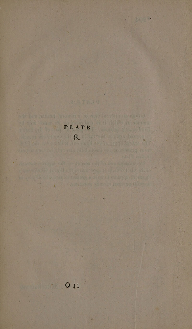 de B's es ihc eae bei AO TRE SOLELNS ROEDER 20; HOT ‘ae 7, - ne ee A eT ee 4 te \s b>, :