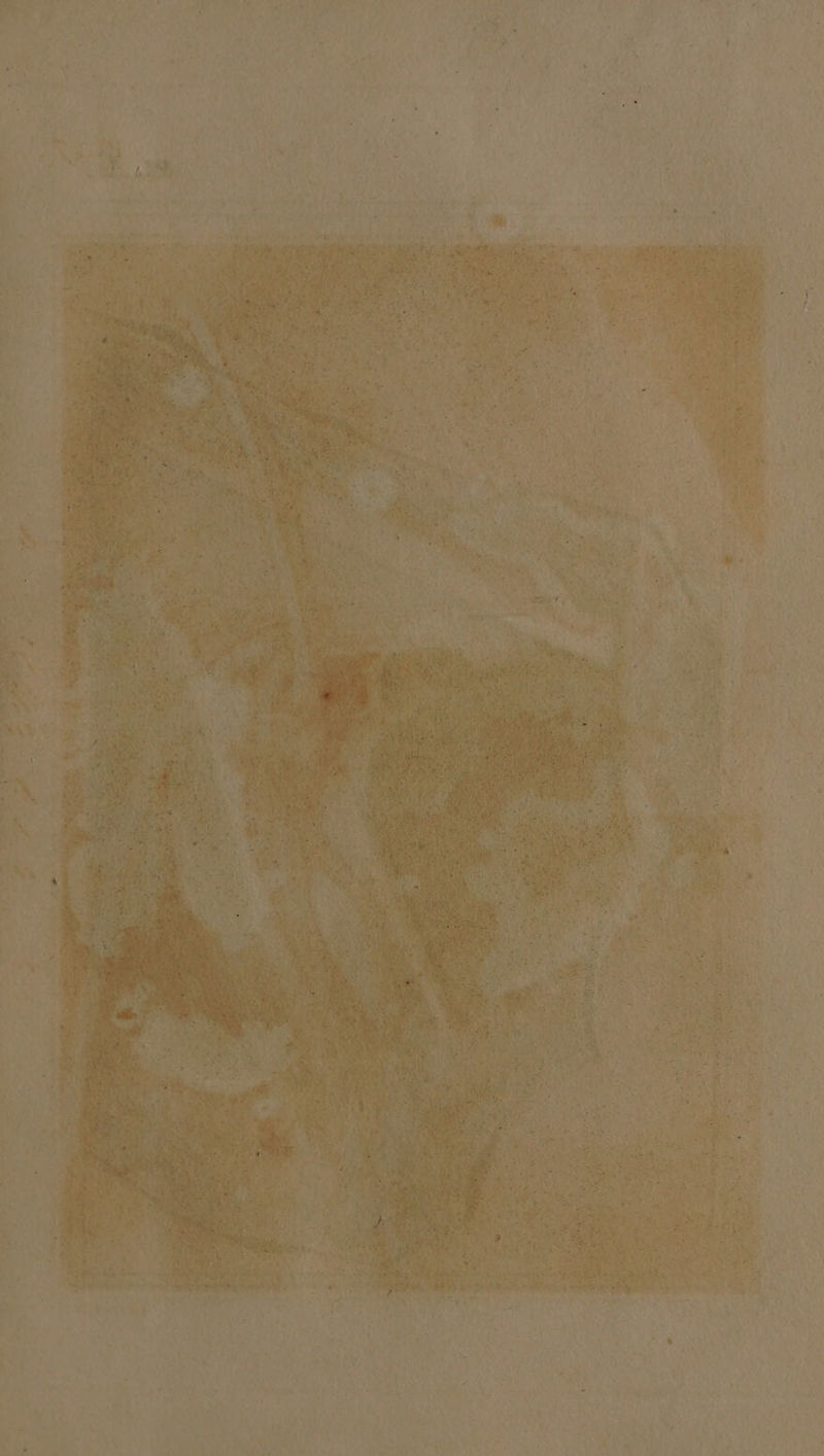 ieee! 7 s gi eee ae : hy d ; Hh x ay beer!