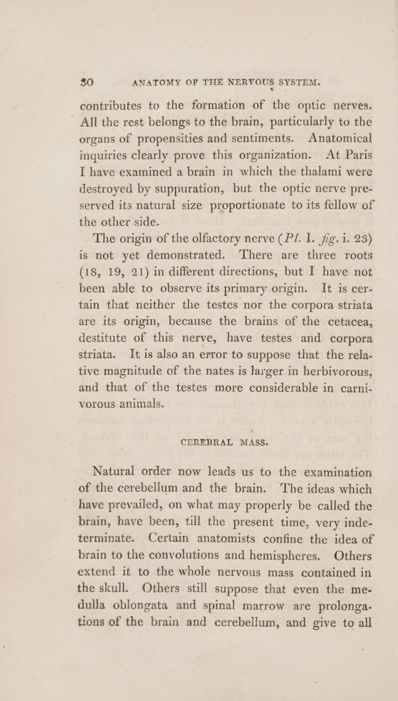 * contributes to the formation of the optic nerves. - All the rest belongs to the brain, particularly to the organs of propensities and sentiments. Anatomical inquiries clearly prove this organization. At Paris I have examined a brain in which the thalami were destroyed by suppuration, but the optic nerve pre- served its natural size proportionate to its fellow of the other side. | The origin of the olfactory nerve (P/. I. fig. i. 23) is not yet demonstrated. There are three roots (18, 19, 21) in different directions, but I have not— been able to observe its primary origin. It is cer- tain that neither the testes nor the corpora striata are its origin, because the brains of the cetacea, destitute of this nerve, have testes and corpora striata. It is also an error to suppose that the rela- tive magnitude of the nates is larger in herbivorous, and that of the testes more considerable in carni- vorous animals. CEREBRAL MASS. Natural order now leads us to the examination of the cerebellum and the brain. The ideas which have prevailed, on what may properly be called the brain, have been, till the present time, very inde- terminate. Certain anatomists confine the idea of brain to the convolutions and hemispheres. Others extend it to the whole nervous mass contained in the skull. Others still suppose that even the me- dulla oblongata and spinal marrow are prolonga- tions of the brain and cerebellum, and give to all