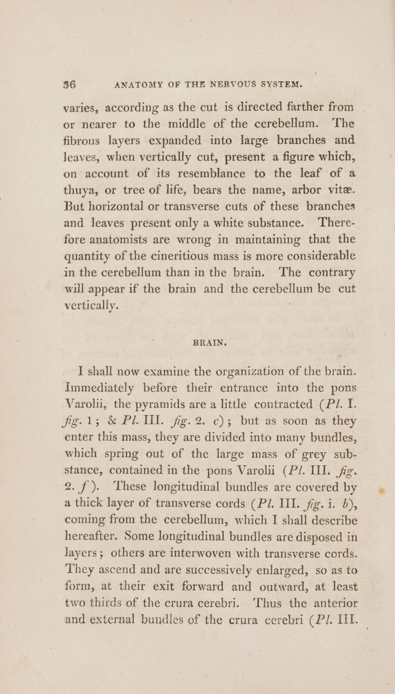 varies, according as the cut is directed farther from or nearer to the middle of the cerebellum. The fibrous layers expanded into large branches and leaves, when vertically cut, present a figure which, on account of its resemblance to the leaf of a thuya, or tree of life, bears the name, arbor vite. But horizontal or transverse cuts of these branches and leaves present only a white substance. There- fore anatomists are wrong in maintaining that the quantity of the cineritious mass is more considerable in the cerebellum than in the brain. The contrary will appear if the brain and the cerebellum be cut vertically. BRAIN. I shall now examine the organization of the brain. Immediately before their entrance into the pons Varolii, the pyramids are a little contracted (Pl. I. Jig. 1; &amp; Pl Il. jig. 2. ¢); but as soon as they » enter this mass, they are divided into many bundles, which spring out of the large mass of grey sub- stance, contained in the pons Varoli (P/. II. fie. 2. f). ‘These longitudinal bundles are covered by a thick layer of transverse cords (Pl. III. fig. i. 5), coming from the cerebellum, which I shall describe hereafter. Some longitudinal bundles are disposed in layers; others are interwoven with transverse cords. They ascend and are successively enlarged, so as to form, at their exit forward and outward, at least two thirds of the crura cerebri. Thus the anterior and external bundles of the crura cerebri (Pl. HT.