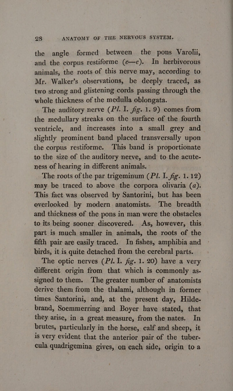 the angle formed between the pons Varolii, and the corpus restiforme (e—e). In herbivorous animals, the roots of this nerve may, according to Mr. Walker’s observations, be deeply traced, as two strong and glistening cords passing through the whole thickness of the medulla oblongata. The auditory nerve (P/. I. fig. 1. 9) comes from the medullary streaks on. the surface of the fourth ventricle, and increases into a small grey and slightly prominent band placed transversally upon the corpus restiforme. This band is proportionate to the size of the auditory nerve, and to the acute- ness of hearing in different animals. The roots of the par trigeminum (Pl. I. fig. 1. 12) may be traced to above the corpora olivaria (a). This fact was observed by Santorini, but has been overlooked by modern anatomists. The breadth and thickness of the pons in man were the obstacles to its being sooner discovered. As, however, this part is much smaller in animals, the roots of the fifth pair are easily traced. In fishes, amphibia and birds, it is quite detached from the cerebral parts. The optic nerves (Pi. I. fig. 1. 20) have a very different origin from that which is commonly as- signed to them. The greater number of anatomists derive them from the thalami, although in former times Santorini, and, at the present day, Hilde- brand, Soemmerring and Boyer have stated, that they arise, in a great measure, from the nates. In brutes, particularly in the horse, calf and sheep, it is very evident that the anterior pair of the tuber- cula quadrigemina gives, on each side, origin toa