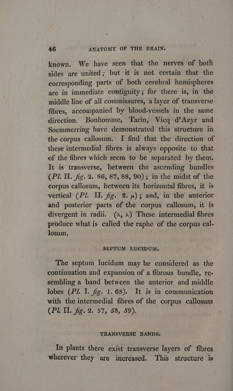known. We have seen that the nerves of both sides are united; but it is not certain that the corresponding parts of both cerebral hemispheres are in immediate contiguity; for there is, in the middle line of all commissures, a layer of transverse: fibres, accompanied by blood-vessels in the same direction. Bonhomme, Tarin, Vicq d’Azyr and Soemmerring have demonstrated this structure in the corpus callosum. I find that the direction of these intermedial fibres is always opposite to that of the fibres which seem to be separated by them. It is transverse, between the ascending bundles (Pl. 1. fig. 2. 86, 87, 88, 90); in the midst of the corpus callosum, between its horizontal fibres, it is vertical (Pl. II. fig. 2. )3 and, in the anterior and posterior parts of the corpus callosum, it is divergent in radii. (a, a) These intermedial fibres produce what is called the raphe of the corpus cal- losum. SEPTUM LUCIDUM. The septum lucidum may be considered as the continuation and expansion of a fibrous bundle, re- sembling a band between the anterior and middle lobes (Pi. I. fig. 1. 63). It is in communication with the intermedial fibres of the corpus callosum (PET fe. 2. 57, 58, 59). TRANSVERSE BANDS. In plants there exist transverse layers of fibres wherever they are increased. This structure is