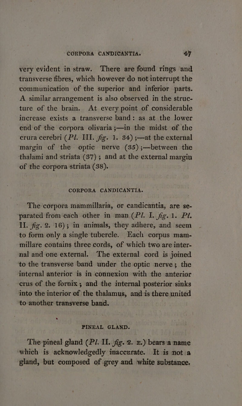 CORPORA CANDICANTIA. 49 very evident in straw. There are found rings and transverse fibres, which however do not interrupt the communication of the superior and inferior parts. A similar arrangement is also observed in the struc- ture of the brain. At every point of considerable increase exists a transverse band: as at the lower end of the corpora olivaria ;—in the midst of the crura cerebri (PJ. III. fig. 1. 34) ;—at the external margin of the optic nerve (35) ;—between the thalami and striata (37) ; and at the external margin of the corpora striata (38). CORPORA CANDICANTIA. The corpora mammillaria, or candicantia, are se- parated from-each other in man (PJ. I. fig. 1. Pi. Il. fig. 2. 16); in animals, they adhere, and seem to form only a single tubercle. Each corpus mam- millare contains three cords, of which two are inter- nal and one external. The external cord is joined to the transverse ‘band under the optic nerve; the internal anterior is in connexion with the anterior crus of the fornix ; and the internal posterior sinks into the interior of the thalamus, and-is there united ‘to-another transverse band. PINEAL GLAND. The pineal gland (P/. II. fig. 2. E.) bears‘a name which is acknowledgedly inaccurate. It is not-a gland, but composed of grey and white substance.