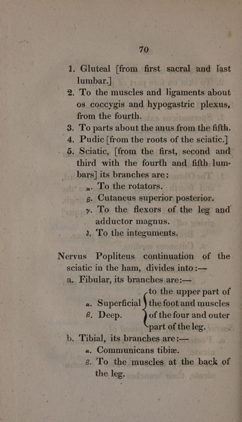 1. Gluteal [from first sacral and last lumbar. ] 2. To the muscles and ligaments about os coccygis and hypogastric plexus, from the fourth. 3. To parts about the anus from the fifth. 4, Pudic [from the roots of the sciatic.] 5. Sciatic, [from the first, second and third with the fourth and fifth, lum- bars] its branches are: 2 Lo the rotators. g. Cutaneus superior posterior. y. To the flexors of the leg and adductor magnus. 3. To the integuments. Nervus Popliteus continuation of the sciatic in the ham, divides into :— a. Fibular, its branches are:— to the upper part of te. Superficial the foot and muscles 6. Deep. of the four and outer part of the leg. b. Tibial, its branches are :— «. Communicans tibie. é. To the muscles at ie back of the leg.