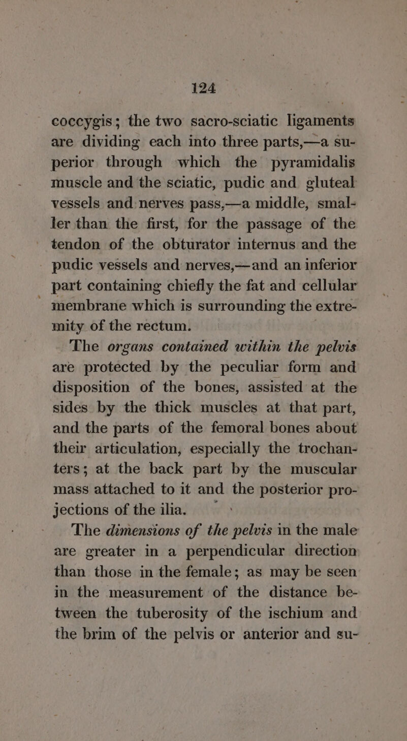 coccygis; the two sacro-sciatic ligaments are dividing each into three parts,—a su- perior through which the pyramidalis muscle and the sciatic, pudic and gluteal vessels and nerves pass,—a middle, smal- ler than the first, for the passage of the tendon of the obturator internus and the _ pudic vessels and nerves,—and an inferior part containing chiefly the fat and cellular - membrane which is surrounding the extre- mity of the rectum. The organs contained within the pelvis are protected by the peculiar form and disposition of the bones, assisted at the sides by the thick muscles at that part, and the parts of the femoral bones about their articulation, especially the trochan- ters; at the back part by the muscular mass attached to it and the posterior pro- jections of the ilia. The dimensions of the pelvis in the male are greater in a perpendicular direction than those in the female; as may be seen in the measurement of the distance be- tween the tuberosity of the ischium and the brim of the pelvis or anterior and su- —