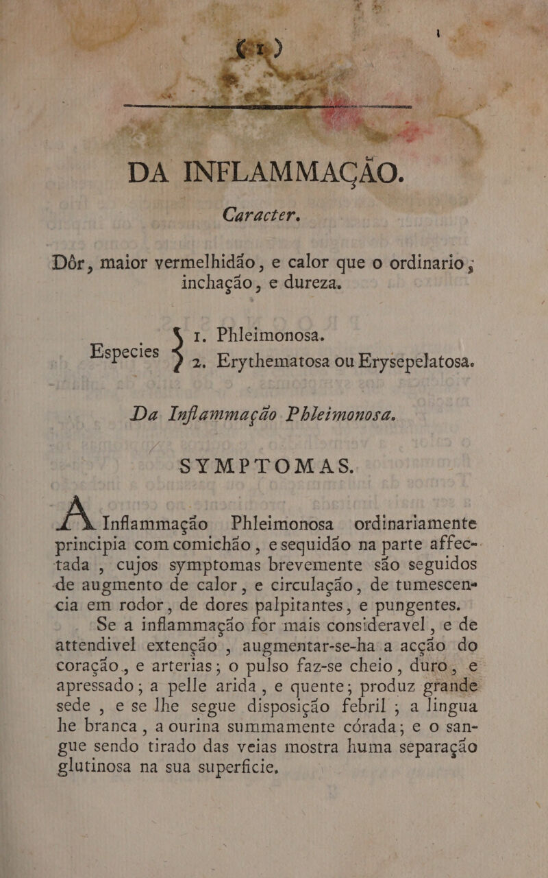 ; Ee, Í Pa, UE 4 e . Ma Te” . er a E» Ea o! RO ho ds De LE io ' 4 7 * - ) y Rar né E ) su 4 os Rd 2 E + Caracter. Dôr, maior vermelhidão, e calor que o ordinario ; inchação, e dureza. | E Phleimonosa. Especies &lt; 2. Erythematosa ou Erysepelatosa. Da Inflammação Phleimonosa. SYMPTOMAS. 13, Phleimonosa ordinariamente tada , cujos symptomas brevemente são seguidos «de augmento de calor, e circulação, de tumescens cia em rodor, de dores palpitantes, e pungentes. Se a inflammação for mais consideravel, e de attendivel extenção , augmentar-se-ha a acção do coração, e arterias; o pulso faz-se cheio, duro, e sede , e se lhe segue disposição febril; a lingua he branca, a ourina summamente córada; e o san- gue sendo tirado das veias mostra huma separação glutinosa na sua superfície,