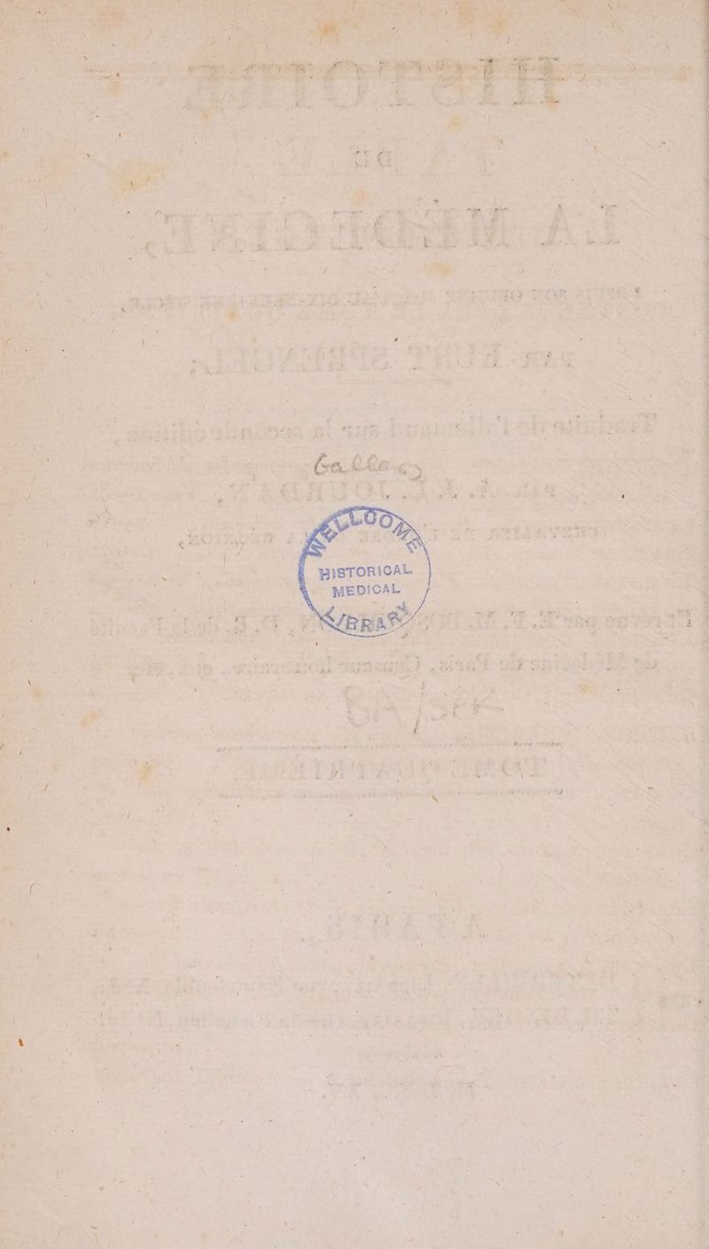 E a. Ets f 1 Lune prit re a ve 7 D ee | € soil abninen gi Aue 1 HISTORICAL. ns mener, er F #1 * SRE cs 2. Ab “+ £ pi SAS 3% 2 ETATS FAT BR. 2 Ya RE NR WERTE SAS À EP ER DZ Fe ai CES bte Le