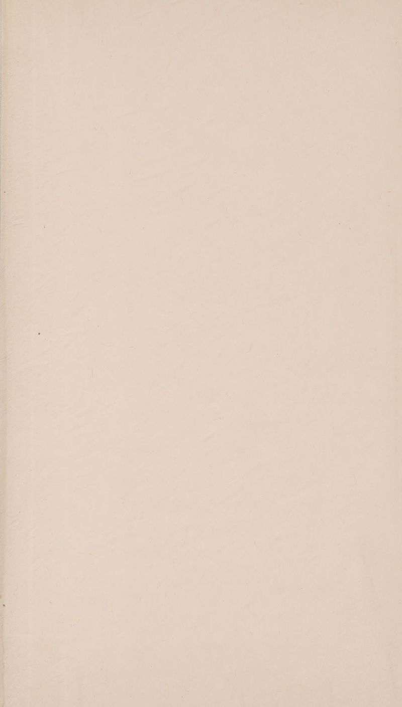 ñ P} € te x Er M en t 1 a. len =