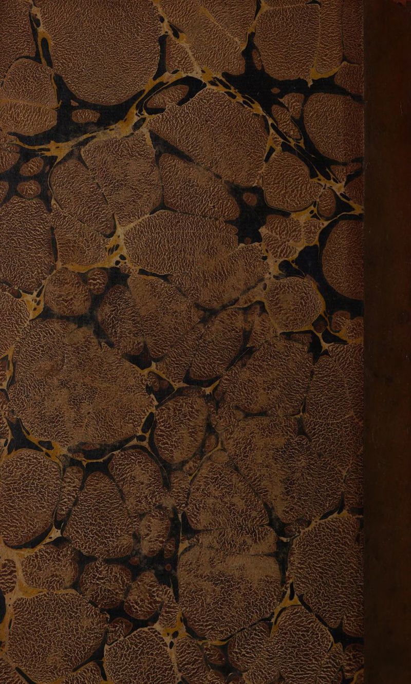 PI Eee UNE ‚ar DE a