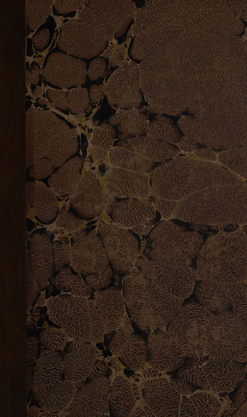 4 ET “à Te N x et ES EN ) À ER Hi é + PE Fe \ 73