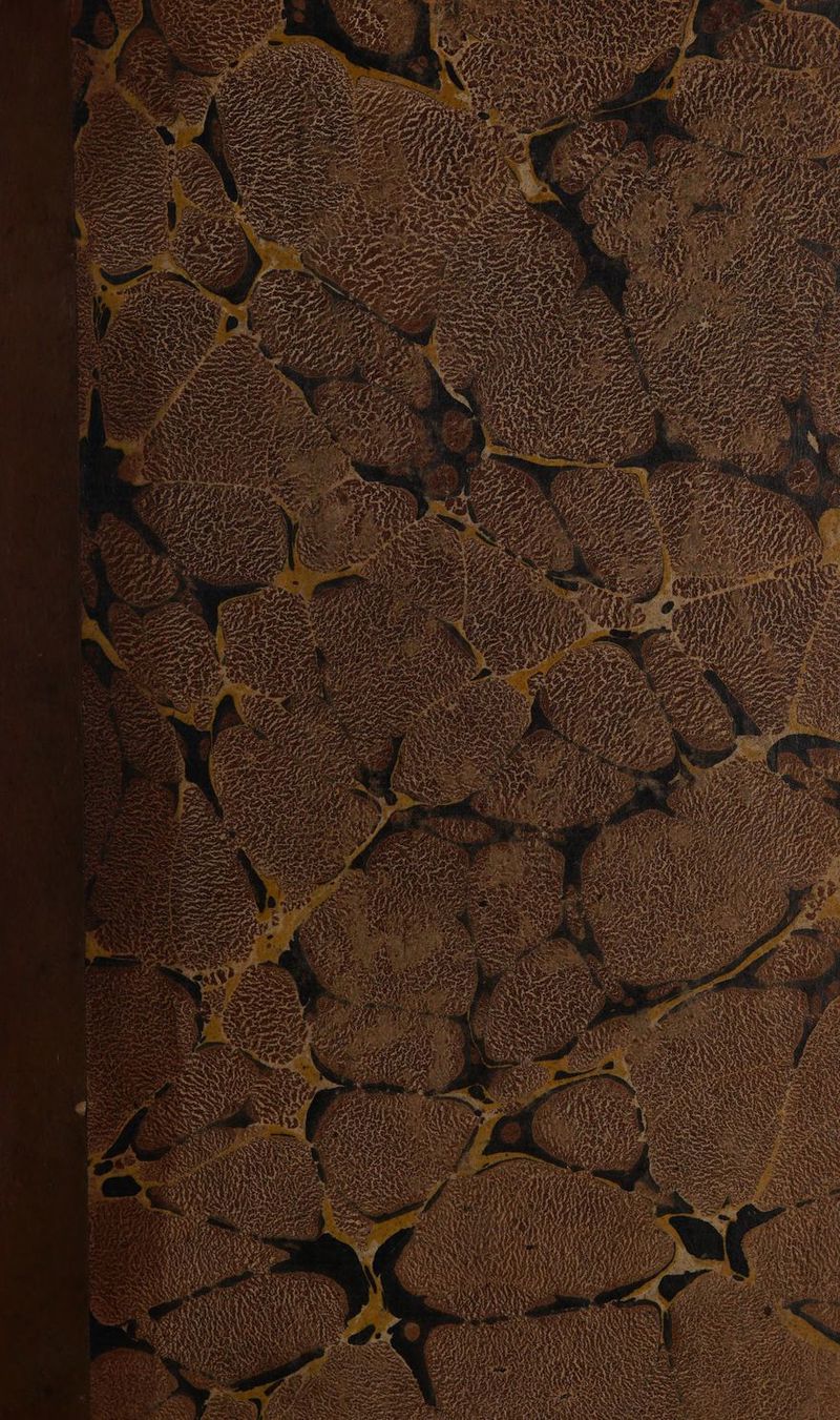 No text description is available for this image