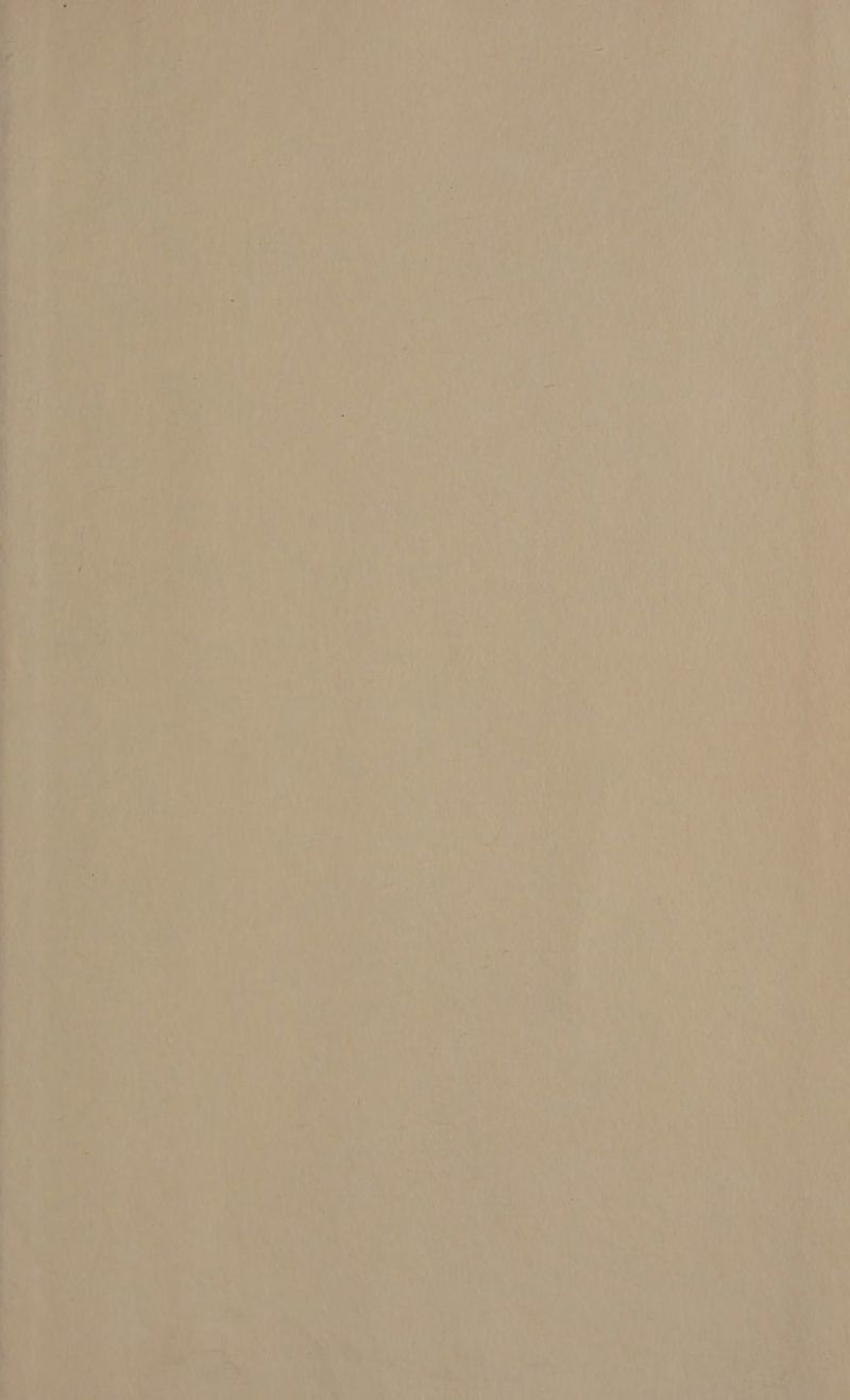 Er U Le 7 NT ai =: ERS 2 > = u LE nn VS“, N LS me RE 4 Seen 4 E x — 1