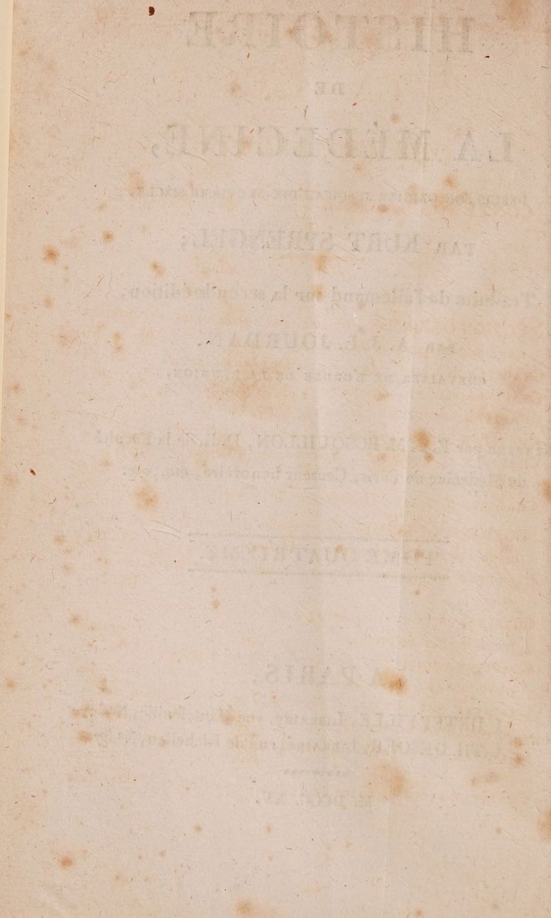 In + > + « ” > WE \ US | eee Lis WETTER - ei de in tr ee