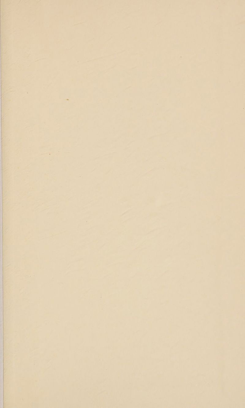 NN SCT NET RUE TE LL DES 7 3 5 il OR “u 4 . IN