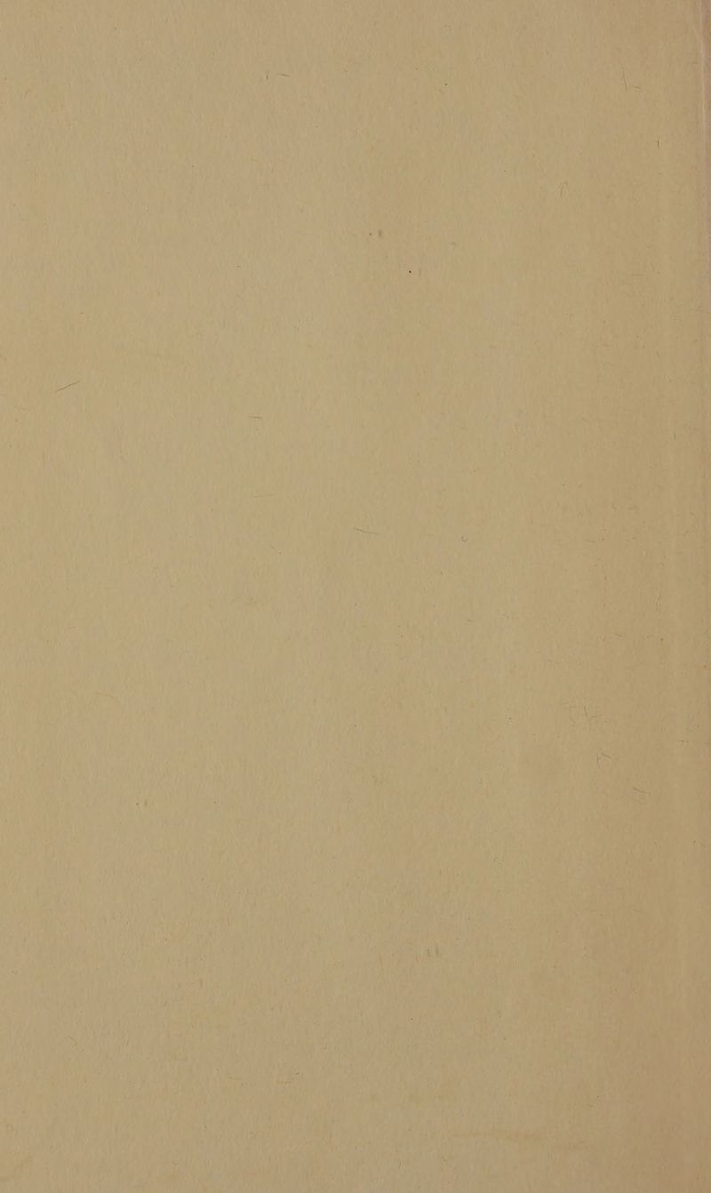 At, WU ns 51 Lu Pe 07 er EE rique je M 4 Pe