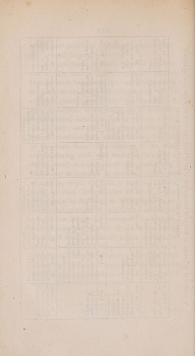 + “ po © gah bess ehns eae T uy Bs apis fret fi Cale | eee Pe ee oe a ae vena i ae SF. ae A Gam eS p —- Lz oe oye ae | % Pie? SE~ 2 ale-oWy 1S ott Feit 08: =4 - How sits t durian edna ) , OG; jes ingen a wen id ' 4 sieve wast huss ! ¢ Sear Fat J a he SF a a echaemad nish be Lena 2; Sa w .é : a oe > i aa “ é . cnt » ee a - i es ae < nt. ~. wh \ygte we erg +