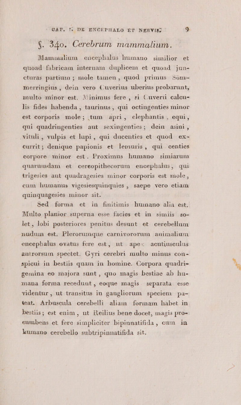 $. 34o. Cerebrum mammalium. Mamiaalium encephalus humano similior et quoad fabricam internam duplicem et quoad jun- cturas partium ; mole tamen , quod primus s5óm- merringius , dein vero Cuverius uberius probarunt, multo minor est, Yinimus fere , si Cuveru calcu- lis fides habenda , taurinus, qui octingenties minor est corporis mole; tum apri, elephantis , equi, qui quadringenties aut sexingenties; dein asini, vituli, vulpis et lapi, qui ducenties et quod ex- currit; denique papionis et lemuris, qui centies corpore minor est. Proximus humano simiarum quarumdam et cereopithecorum encephalus, qui trigesies aut quadragesies minor corporis est mole, cum humanus vigesiesquinquies , saepe vero etiam quinquagesies niinor sit. Sed forma et in finitimis huinano alia est, Multo planior superna esse facies et in simiis s0- let, lobi posteriores penitus desunt et cerebellum nudum est. Plerorumque carnivororum animalium encephalus ovatus fere est, ut ape« aenutiusculus antrorsum spectet. Gyri cerebri multo minus con- spicui in bestiis quam in homine. Corpora quadri- gemina eo majora sunt, quo magis bestiae ab hu- mana forma recedunt, eoque magis. separata esse videntur, ut transitus in gaugliorum speciem pa- ieat. Arbuscula cerebelli aliam formam habet in bestiis; est enim , ut iteilius bene docet, magis pro- cumbens et fere simpliciter bipinnatifida , cum | in humano cerebello subtripinnatifida sit.