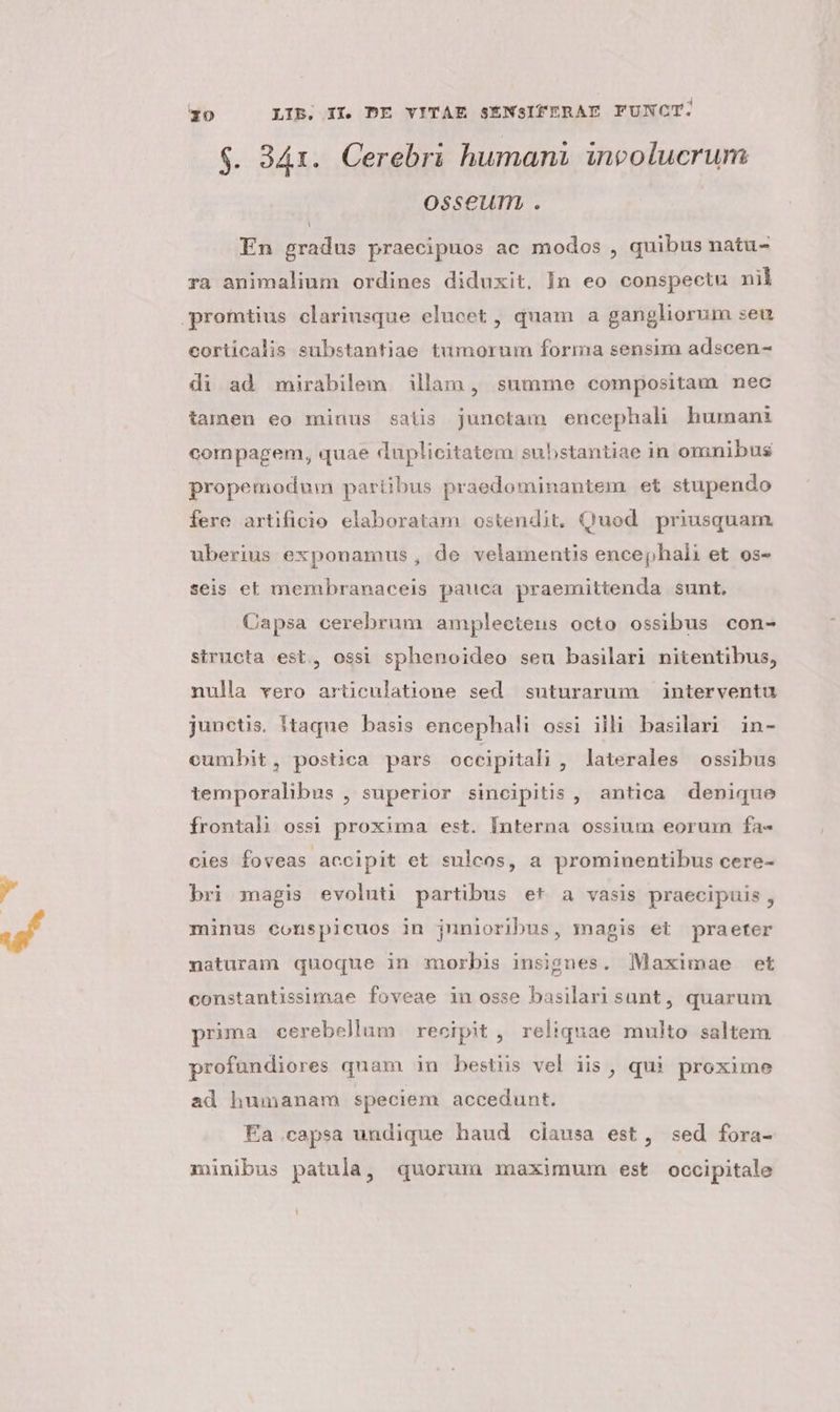 $. 341. Cerebri humani involucrum osseum . V En gradus praecipuos ac modos , quibus natu- ra animalium ordines diduxit, In eo conspectu nil promtius clariusque elucet , quam a gangliorum seu corticalis substantiae tumorum forma sensim adscen- di ad mirabilem illàm, summe compositam nec tamen eo minus satis junctam encephal humani compagem, quae duplicitatem substantiae in omnibus propemodum partibus praedominantem et stupendo fere artificio elaboratam ostendit, Quod priusquam uberius exponamus , de velamentis encephali et os- seis et membranaceis pauca praemittenda sunt, Capsa cerebrum amplecteus octo ossibus con- structa est, ossi sphenoideo seu basilari nitentibus, nulla vero articulatione sed suturarum interventu junctis, itaque basis encephali ossi illi basilari in- cumbit, postica pars occipitali , laterales ossibus temporalibus , superior sincipitis , antica denique frontal oss) proxima est. Interna ossium eorum fa- Ciles foveas accipit et sulcos, a prominentibus cere- bri magis evoluti partibus et a vasis praecipuis , minus conspicuos in junioribus, mapis et praeter naturam quoque in morbis insignes. Maximae et constantissimae foveae in osse basilari sunt, quarum prima cerebellum recipit , reliquae multo saltem profundiores quam in bestüs vel iis , qui proxime ad humanam speciem accedunt. Ea capsa undique haud ciausa est, sed fora- minibus patula, quorum maximum est occipitale