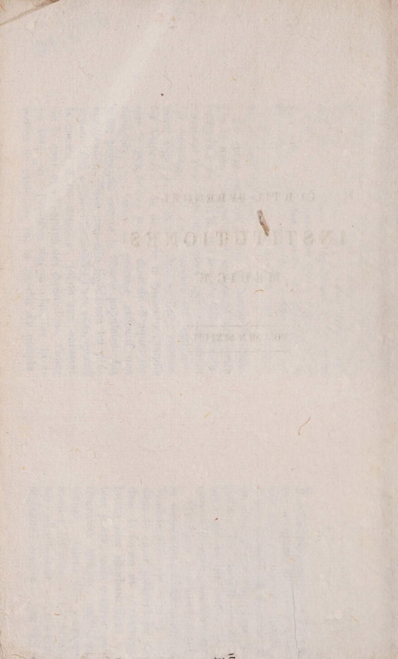 j 3A 205p * M b 1 is TN t E . eed Els n X