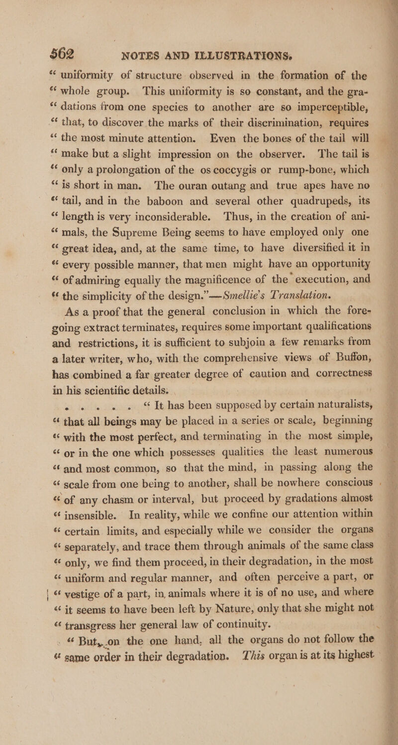 ** uniformity of structure observed in the formation of the ** whole group. This uniformity is so constant, and the gra- ‘¢ dations trom one species to another are so imperceptible, *¢ that, to discover the marks of their discrimination, requires ‘‘ the most minute attention. Even the bones of the tail will “make but a slight impression on the observer. The tail is ** only a prolongation of the os coccygis or rump-bone, which ‘is short in man. The ouran outang and true apes have no *‘ tail, and in the baboon and several other quadrupeds, its ‘‘ length is very inconsiderable. Thus, in the creation of ani- “‘ mals, the Supreme Being seems to have employed only one “ creat idea, and, at the same time, to have diversified it in ‘ every possible manner, that men might have an opportunity « of admiring equally the magnificence of the execution, and *« the simplicity of the design.”—Smellie’s Translation. As a proof that the general conclusion in which the fore- going extract terminates, requires some important qualifications and restrictions, it is sufficient to subjoin a few remarks from a later writer, who, with the comprehensive views of Buffon, has combined a far greater degree of caution and correctness in his scientific details. . . . . . It has been supposed by certain naturalists, ¢¢ that all beings may be placed in a series or scale, beginning « with the most perfect, and terminating in the most simple, ¢ or in the one which possesses qualities the least numerous ¢¢ and most common, so that the mind, in passing along the «‘ scale from one being to another, shall be nowhere conscious “ of any chasm or interval, but proceed by gradations almost ‘‘insensible. In reality, while we confine our attention within «‘ certain limits, and especially while we consider the organs «¢ separately, and trace them through animals of the same class « only, we find them proceed, in their degradation, in the most ‘“‘ uniform and regular manner, and often perceive a part, or &lt;‘ vestige of a part, in animals where it is of no use, and where &lt;“‘ it seems to have been left by Nature, only that she might not « transgress her general law of continuity. _ “ But,.on the one hand, all the organs do not follow the « same order in their degradation. This organ is at its highest —