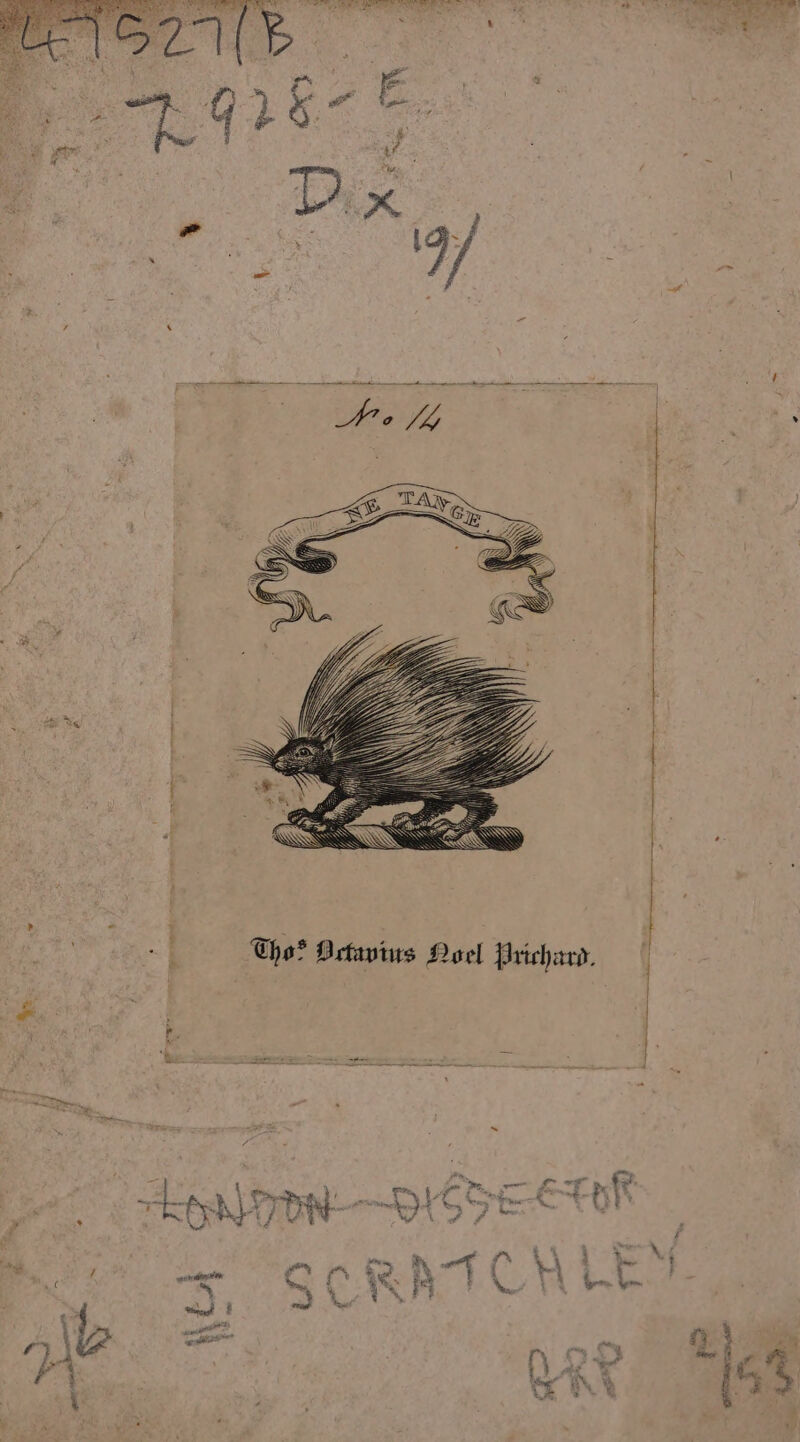 5 ~ mot ; Pr eet Sees = ¥ ‘