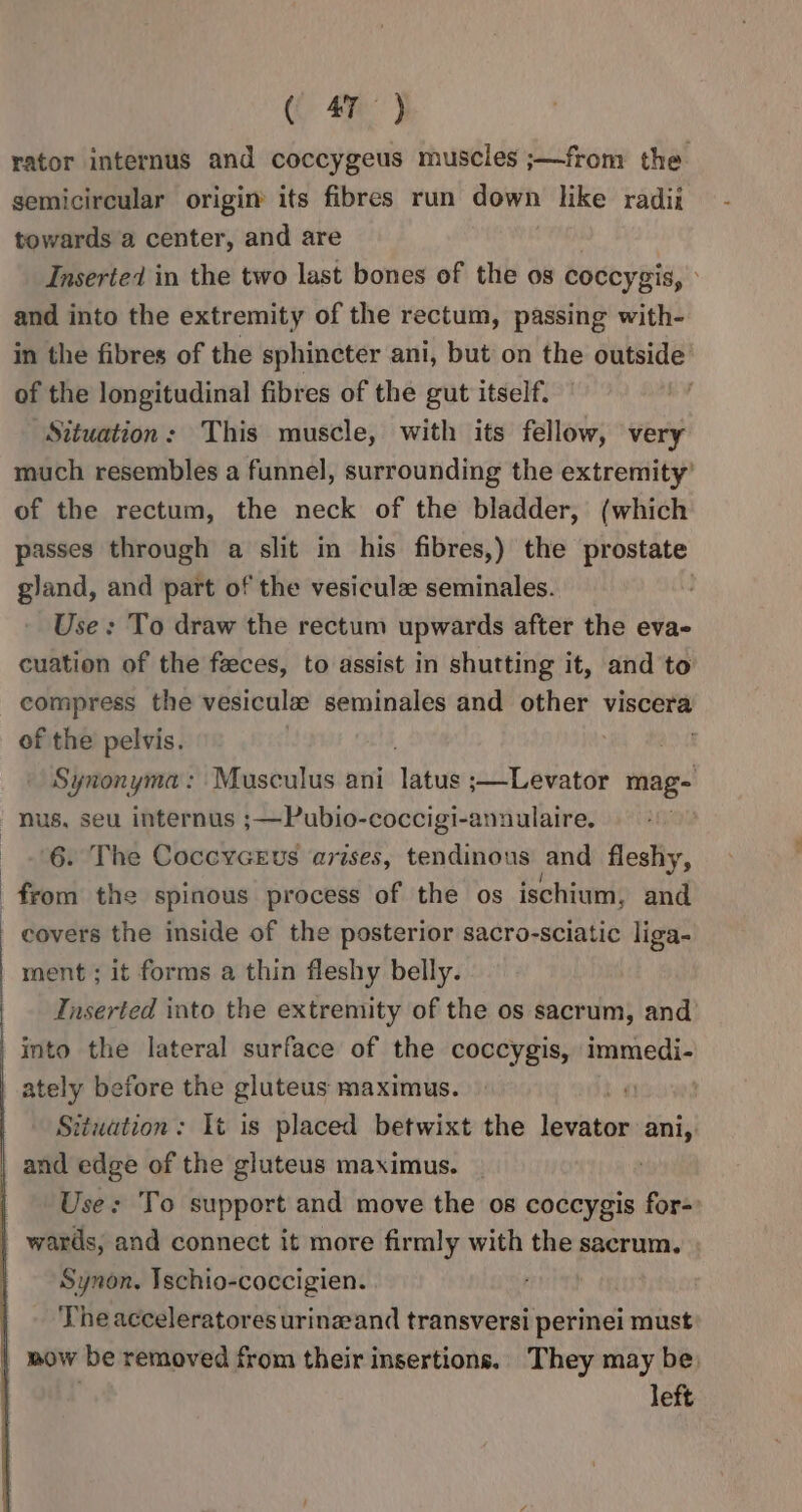 rator internus and coccygeus muscles ;—from the semicircular origin its fibres run down like radii towards a center, and are Inserted in the two last bones of the os coccygis, » and into the extremity of the rectum, passing with- in the fibres of the sphincter ani, but on the outside of the longitudinal fibres of the gut itself. Situation: This muscle, with its fellow, very much resembles a funnel, surrounding the extremity’ of the rectum, the neck of the bladder, (which passes through a slit in his fibres,) the prostate gland, and part of the vesiculz seminales. Use: To draw the rectum upwards after the eva- cuation of the feeces, to assist in shutting it, and to compress the vesiculz seminales and other viscera of the pelvis. ) | Synonyma: Musculus ani ‘latus ;—Levator ia) nus, seu internus ;—Pubio-coccigi-annulaire. 6. The Coccycrus arises, tendinous and fleshy, covers the inside of the posterior sacro-sciatic liga- ment ; it forms a thin fleshy belly. |. Inserted into the extremity of the os sacrum, and’ into the lateral surface of the coccygis, ect) ately before the gluteus maximus. é Situation: It is placed betwixt the Leesan ani, and edge of the gluteus maximus. _ Use: To support and move the os coccygis for=: - wards, and connect it more firmly with the sacrum, Synon. Ischio-coccigien. The acceleratores urinaand transversi perinei must wow be removed from their insertions. They may be, left