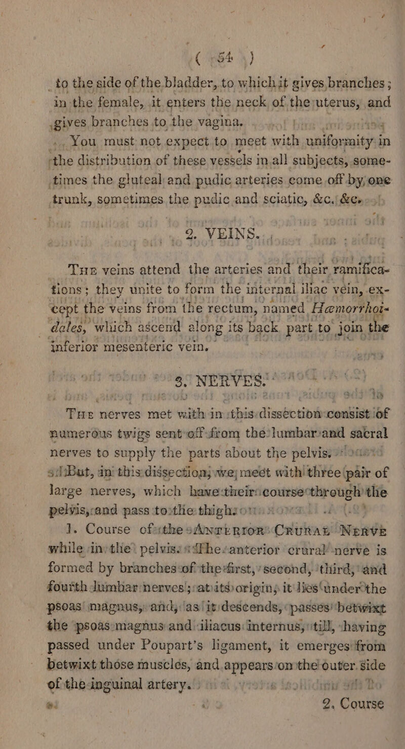 ( $4 4) _to the side ap the bladder, to which it gives, branches ; in: the female, it enters the neck of the uterus, and girs branches to the vagina. ef Bi ‘45a You must not expect to meet with aaaliae malty in om distribution of these vessels i in.all subjects, some- times the gluteal and pudic arteries come off by/one trunk, sometimes. the pudic and sciatic, &amp;c./&amp;e. 2. VEINS. Tue veins attend the arteries and them. ramifica- tions; they unite to form the internal iliac vein, ex- cept t the veins from the rectum, named Hemorrhoi« dales, which ascend a along its back part to join the inferior mesenteric vein.» 3. NERVES.” hk ’ , Sd 3B Tue nerves met vaith im: wees distin consist ‘of numerous twigs sentvofffrom the?lumbar/and sacral nerves to supply the parts about the pelvis?!» sat, ani this: dissection; we meet with’ three (pair of Jarge nerves, which hane:theiricourse’ ‘through’ the pelvis,and pass tothe: thighsomnxowa. ; }. Course ofsthe sAwriRrorCRURAL Newde while in: the) pelvis: «dfhesanterior ‘crural nerve is formed by branches:of ‘the first,’ second, ‘third, and fourth Jumbar nerves’; :atits origins it lies‘under the psoas’ magnus, and, ‘as! it: descends, ‘passes’ ‘betwixt the ‘psoas magnus and -iliacus: internus, till, shaving passed under Poupart’s ligament, it emerges from betwixt those muscles, and sara ‘on the outer. side of theinguinal artery.) 8 oe eo ig a