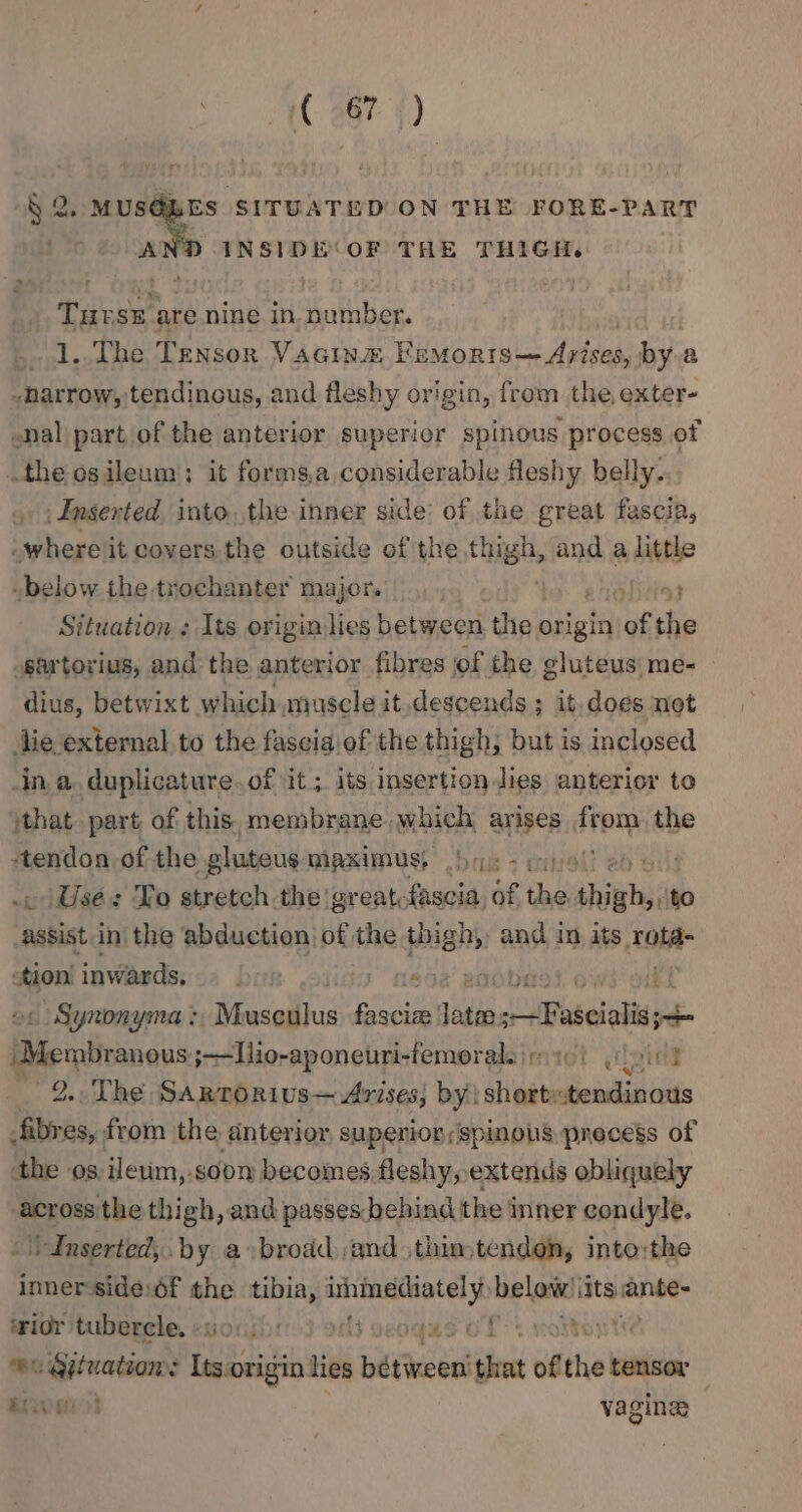 iC a6? 5) § 2. ve SITUATED ON THE FORE-PART / &gt;. AND INSIDE COF THE THIGH. THE SE are nine in. number. _.1..The Tensor Vacinm Femoris— Arises, bya harrow, tendinous, and fleshy origin, from the, exter- .nal part of the anterior superior spinous process of .the os ileum); it forms,a considerable fleshy belly. Inserted, into,.the inner side’ of the great fascia, -where it covers the outside of the thigh, and a little -below the trochanter major. lites Situation: Its origin lies between the origin of the -sartorius, and the anterior fibres of the gluteus me- dius, betwixt which muscle it.descends ; it, does net jie external to the fascia\of the thigh, but is inclosed ina duplicature.of it; its, insertion lies anterior te jthat part of this. membrane. which, arises rem the ‘tendon of the gluteus maximus, Use: Yo stretch the great, asia aft i mth ‘to assist in the abduction) pf, the spiel ¢ and in. its OH tion inwards, © b&gt;» ; We « Synonyma : oe fSeian sia UB peedeata ie orcas ;-Ilio-aponeuri-femorala iirc) oid _ 2..The Sarrorius—Arises; by\ short: -tendinous tape from the anterior, superior ;spinous precegs of the os, ileum,.soon becomes fleshy, extends obliquely across the thigh, and passes:behind the inner condyle. - Inserted, by a brodd and ,thin,tendon, into:the inner-side:f the tibia, ee below’ ‘its ante- ‘rior tubercle, «sou: OL % ston BC: othigamen Its.origin lies weeeeed that of the tensor Brig? vagine