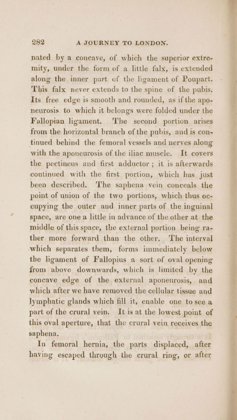 nated by a concave, of which the superior extre- mity, under the form of a little falx, is extended along the inner part of the ligament of Poupart. This falx never extends to the spine of the pubis, Its free edge is smooth and rounded, as if the apo- neurosis to which it belongs were folded under the Fallopian ligament. ‘The second portion arises from the horizontal branch of the pubis, and is con- tinued behind the femoral vessels and nerves along with the aponeurosis of the iliac muscle. It covers the pectineus and first adductor ; it is afterwards continued with the first portion, which has just been described. The saphena vein conceals the point of union of the two portions, which thus oc- cupying the outer and inner parts of the inguinal space, are one a little in advance of the other at the middle of this space, the external portion being ra- ther more forward than the other, The interval which separates them, forms immediately below the ligament of Fallopius a sort of oval opening from above downwards, which is limited by the concave edge of the external aponeurosis, and which after we have removed the cellular tissue and Jymphatic glands which fill it, enable one tosee a part of the crural vein. It is at the lowest point of this oval aperture, that the crural vein receives the saphena. | | In femoral hernia, the parts displaced, after having escaped through the crural ring, or after